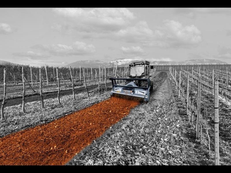 Effiziente Stubbenfräsung: Wie Forstmulcher Holz bis zum Boden zerkleinern
